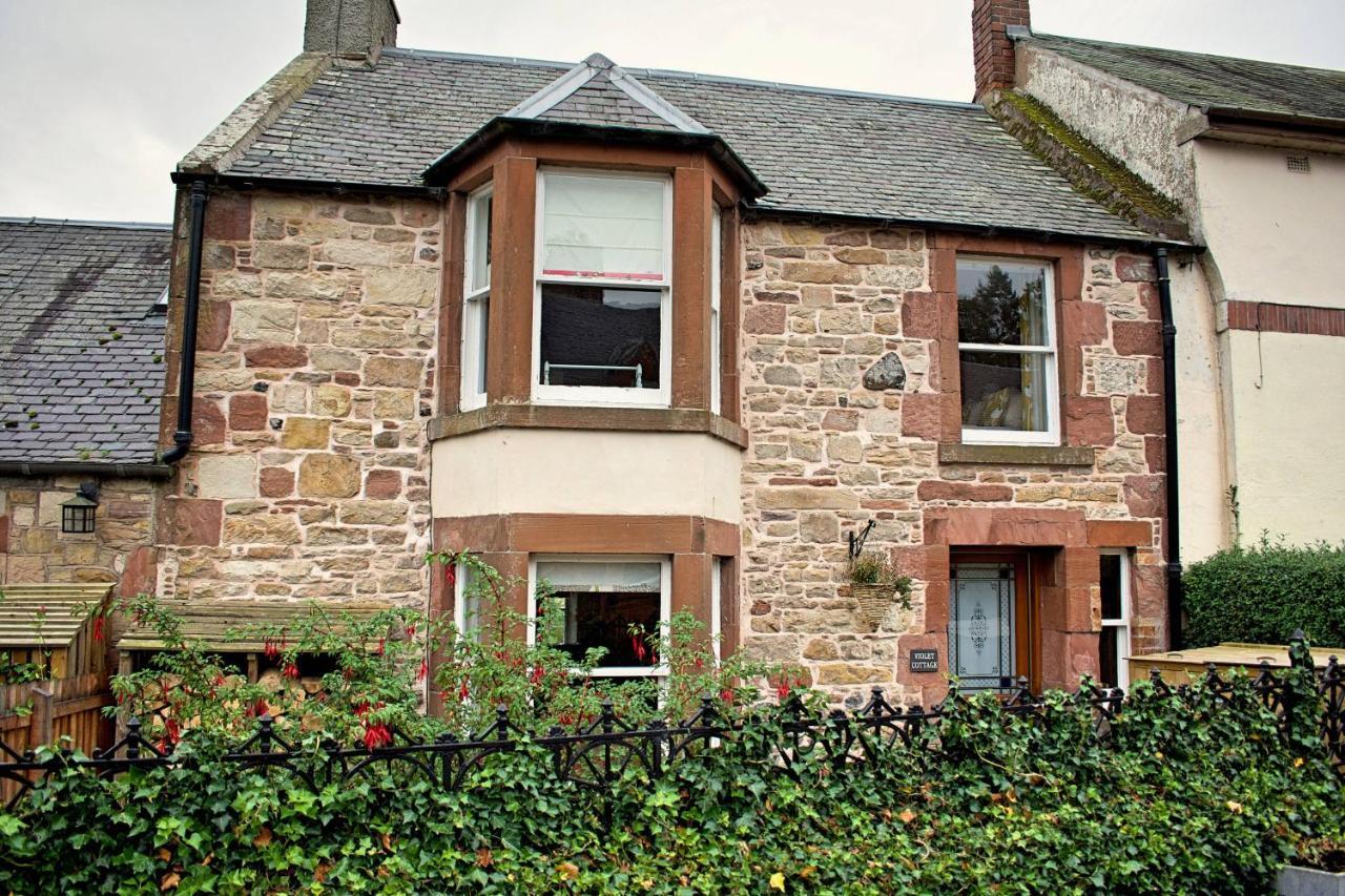 Violet Cottage جيدبيرغ المظهر الخارجي الصورة